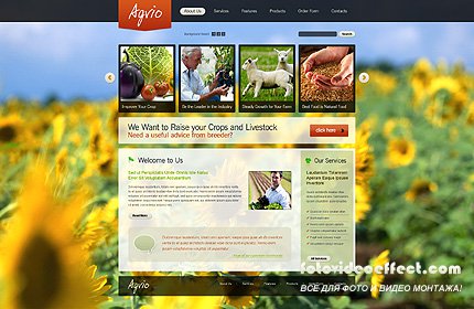 Agrio Agriculture Website Free Template