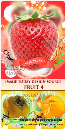 Image Today Design Source Fruit #4