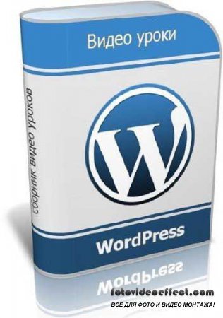        Wordpress (2008-2010)