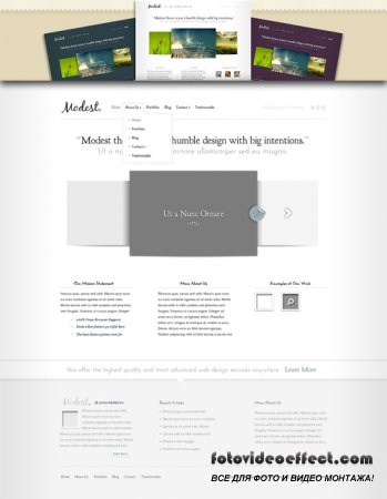 Modest Wordpress Theme - Elegant Themes