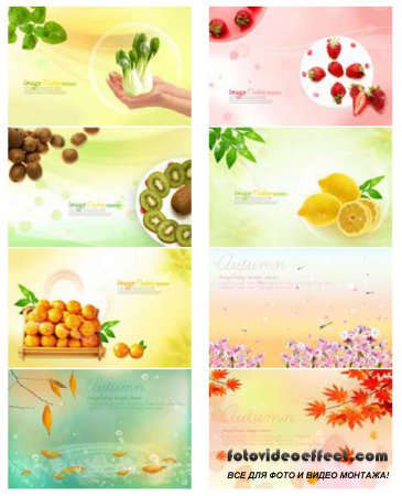 ImageToday Design Source - Fruits