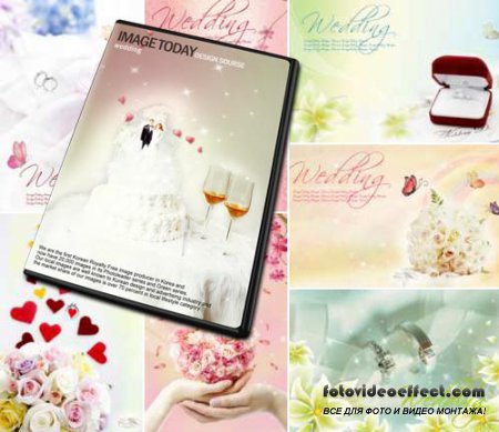 ImageToday Design Source - Wedding