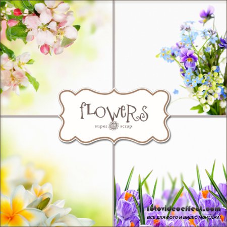 Textures - Flowers Backgrounds #21