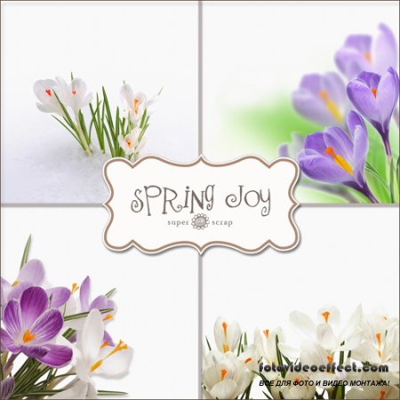 Backgrounds - Spring Joys