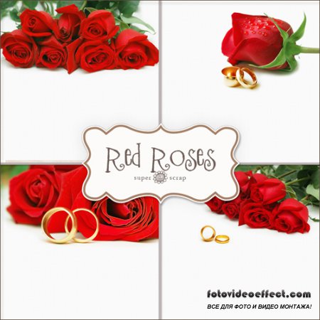 Textures - Red Roses Backgrounds #2