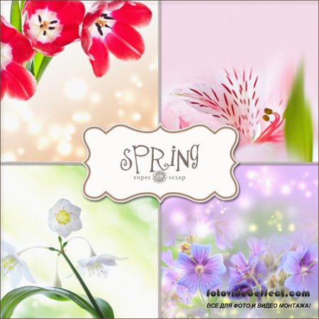 Textures - Spring Backgrounds #16