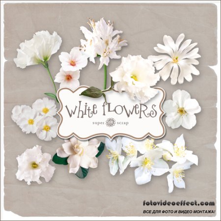 Scrap-kit - White Flowers Set