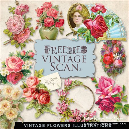 Scrap-kit - Vintage Flowers Illustrations