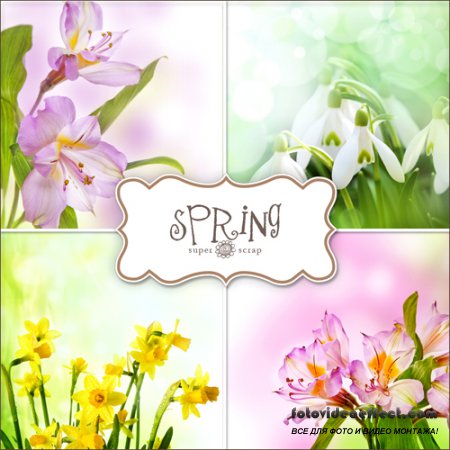 Textures - Spring Backgrounds #20