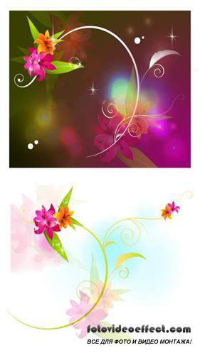 Transparent floral backgrounds ( )