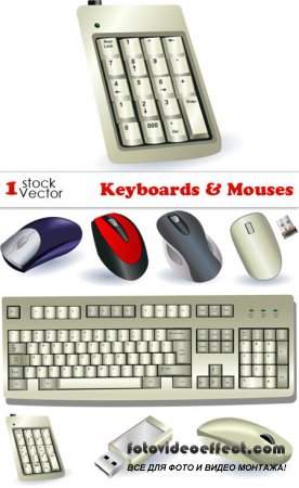 Keyboards & Mouses Vector