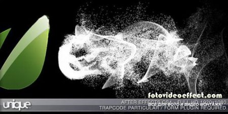 VideoHive Particle Reveal