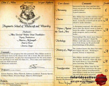 Hogwarts reportcard PSD