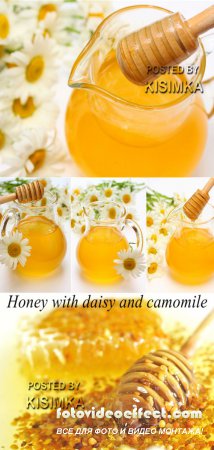 Stock Photo: Honey with daisy and camomile