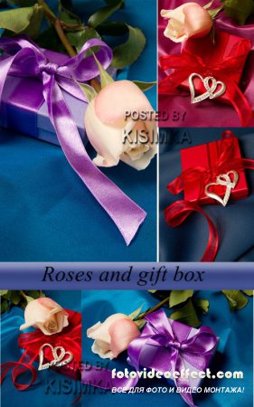Stock Photo: Roses and gift box