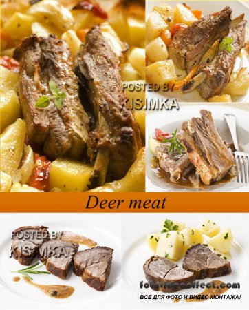 Stock Photo: Deer meat