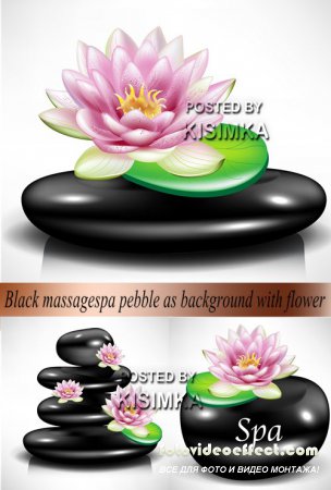 Black massage spa pebble as background with flower
