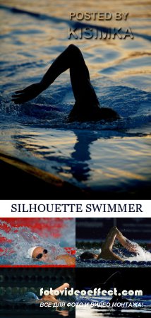 Stock Photo: SILHOUETTE SWIMMER