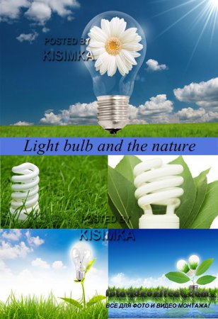 Stock Photo: Light bulb and the nature