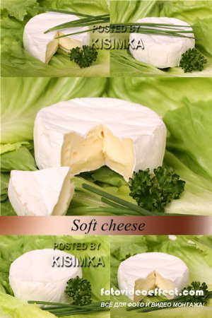 Stock Photo: Soft cheese