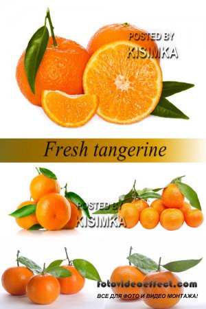 Stock Photo: Fresh tangerine