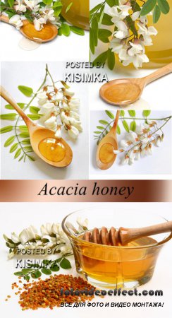 Stock Photo: Acacia honey