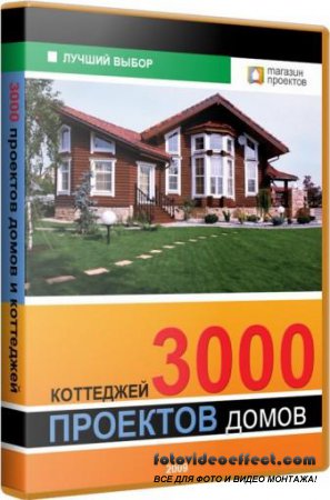 3000     (2009)