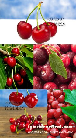 Stock Photo: Red sweet cherry