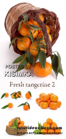 Stock Photo: Fresh tangerine 3