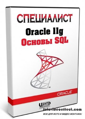  Oracle 11g  SQL (2011/RUS)