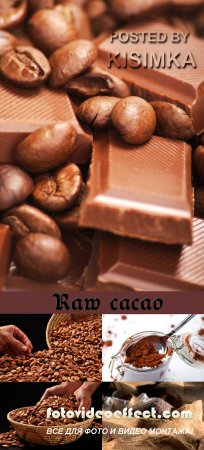 Stock Photo: Raw cacao