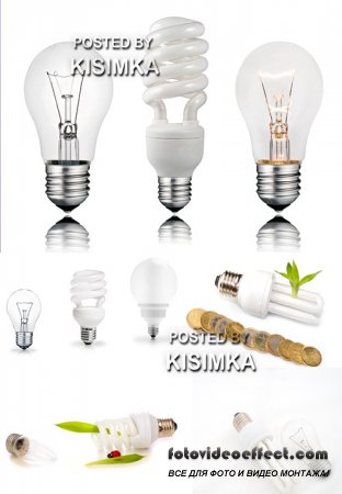 Stock Photo: Usual and power saving up bulbs
