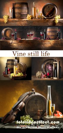 Stock Photo: Vine still life