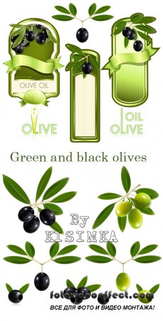 Stock: Green and black olives with leaves