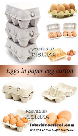 Stock Photo: Eggs in paper egg carton