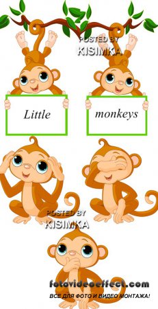 Stock: Little monkeys