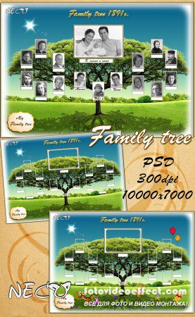  -  ()  / Template a family tree PSD