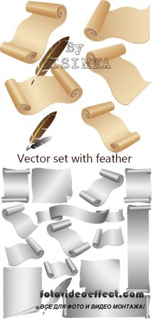 Stock: Parchment vector set with feather