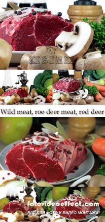 Stock Photo:  Wild meat, roe deer meat, red deer