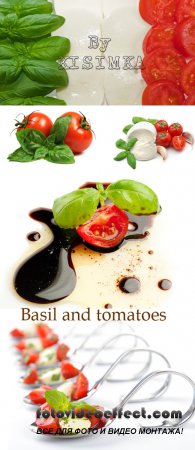 Stock Photo: Basil and tomatoes
