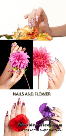 Stock Photo: Nails and flower
