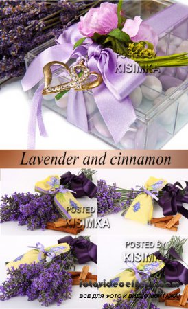 Stock Photo: Lavender and cinnamon