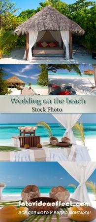 Stock Photo: Wedding on the beach