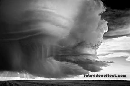 -    (Mitch Dobrowner)