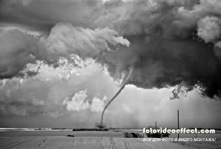 -    (Mitch Dobrowner)