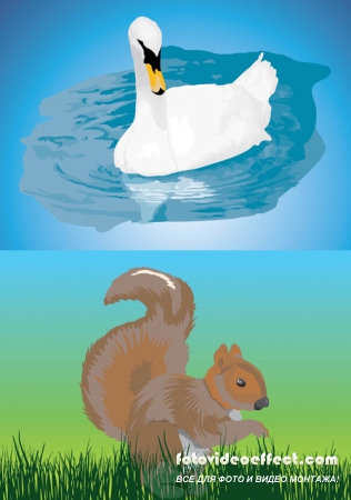 Chipmunk and Swan Vectors