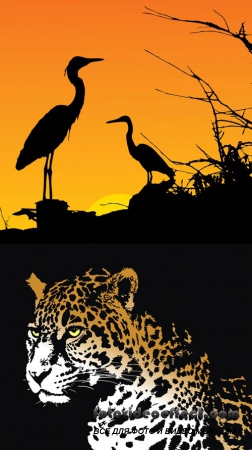 Jaguar and Herons Vectors