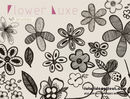   Photoshop - Flower Luxe brushes