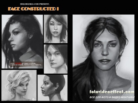 Face Constructed Collection