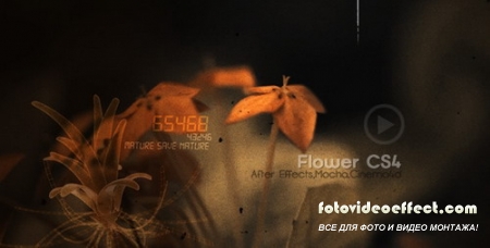 Flowers CS4 - Project for After Effects (Videohive)